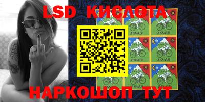 крисы Камышлов