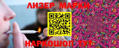 крисы Камышлов