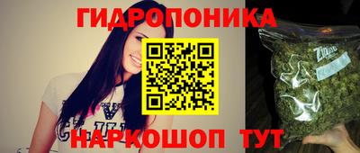 индика Канаш
