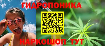 крисы Камышлов