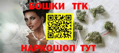 шишки Кандалакша