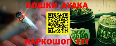 шишки Кандалакша