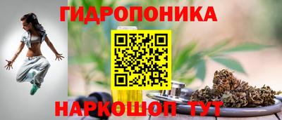 шишки Кандалакша