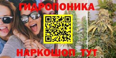 индика Канаш